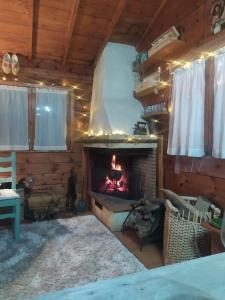 a living room with a fireplace in a log cabin at Etna Baite Milo in Milo