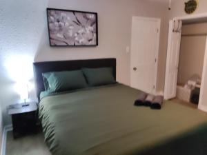 ein Schlafzimmer mit einem grünen Bett mit einem Bild an der Wand in der Unterkunft Tranquil Oasis- Private Rooms -Near Downtown Indianapolis in Indianapolis