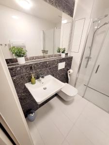 a bathroom with a toilet and a sink and a shower at Garden apartment Brno center in Brno