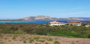 a house on a hill next to a body of water at Stintino - Cala Lupo in Stintino