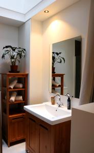 a bathroom with a sink and a mirror at Studio Sous - Sea, Sun, City-Centre in Ostend