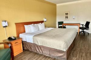 Postel nebo postele na pokoji v ubytování Quality Inn Nacogdoches Near University + 16 fotografií