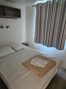 BoofzheimにあるMobil-home climatisé (proximité EUROPA PARC)のベッドルーム1室(毛布付きのベッド1台付)