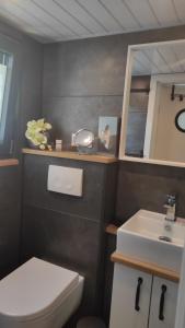 a bathroom with a white toilet and a sink at Gemütliches Tiny House mit Terrasse & Klima an Badesee & Naturpanorama für max 4 Gäste in Salzhemmendorf