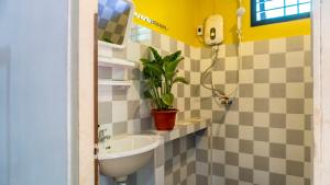 a bathroom with a sink and a potted plant at Isano Nomad Hostel in Luang Prabang +71 photos