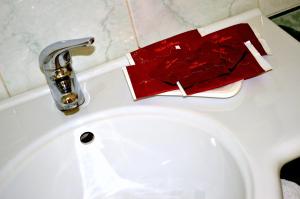 Koupelna v ubytování Hotel Shasa