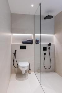 La salle de bains est pourvue de toilettes et d'une douche en verre. dans l'établissement Cozy Stay Apartement, à Pärnu