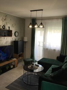 TV in/ali zabaviščno središče v nastanitvi Apartman Green!!