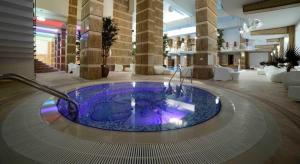 bañera de hidromasaje en medio del vestíbulo del hotel en Nice apartment in Militari Residence en Roşu