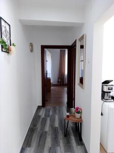 Gallery image of Casa Bocan in Geoagiu Băi