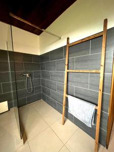 a bathroom with a shower stall and a shower at Villa Clémence in Le François