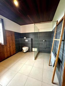 a bathroom with a toilet and a glass shower at Villa Clémence in Le François