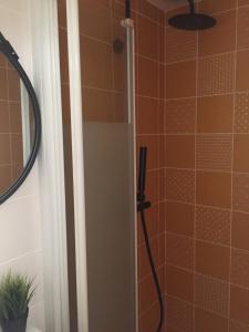 eine Dusche mit Duschkopf im Bad in der Unterkunft Le Mini Montesquieu Studio Cosy 2 pers in Lyon
