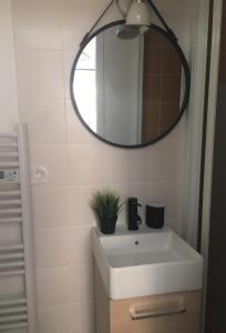 ein Badezimmer mit einem weißen Waschbecken und einem Spiegel in der Unterkunft Le Mini Montesquieu Studio Cosy 2 pers in Lyon