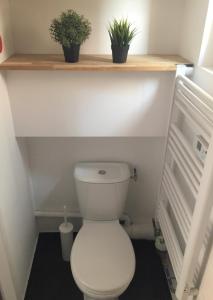 ein Badezimmer mit einem WC mit zwei Pflanzen auf einem Regal in der Unterkunft Le Mini Montesquieu Studio Cosy 2 pers in Lyon