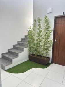 a set of stairs with plants next to a door at Hotel Dallas Toríbio in Bom Jesus da Lapa +23 photos