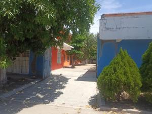 een straat met een boom naast een gebouw bij cuartos en renta El portón azul in Ixtepec