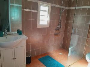 a bathroom with a sink and a shower at Chez Mélanie in Sainte-Rose