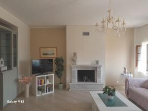 a living room with a couch and a fireplace at Ioannina Cozy Hill House in Pedini