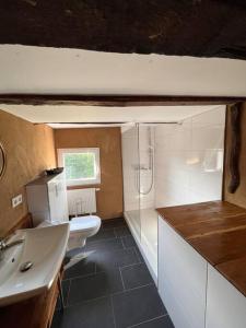 a bathroom with a white sink and a toilet at Wohnen auf dem Bauernhof in Herdecke
