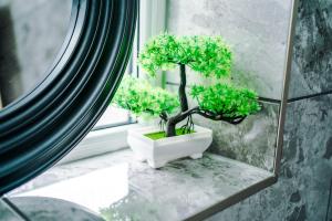 two bonsai trees sitting on a window sill at Stylish 3 Bedroom home close to Manchester City centre in Oldham