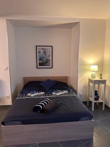een slaapkamer met een groot bed in een kamer bij Un studio dans la résidence SJT in Alençon