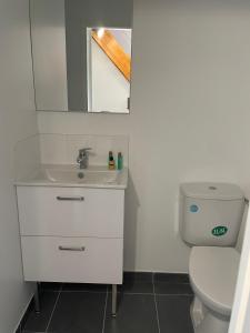 a bathroom with a white toilet and a sink at Un studio dans la résidence SJT in Alençon