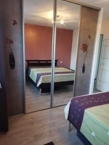 a bedroom with a mirror and a bed in a room at Chambre chez l'habitant, lit 160x200 in Ustaritz
