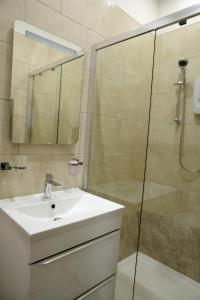 uma casa de banho com um lavatório e um chuveiro com um espelho. em The Cosy Corner studio em Sheffield