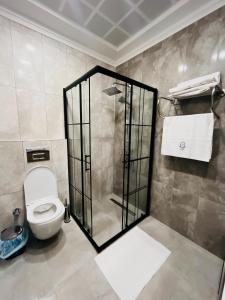 Un baño con ducha y WC. en Pier Hotel, en Estambul