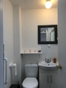 uma casa de banho com um WC, um lavatório e um espelho. em Comfy 2 bedroom house, newly refurbished, self catering, free parking, walking distance to Cheltenham town centre em Cheltenham