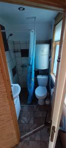 a small bathroom with a toilet and a sink at Domek pod lasem in Maniowy