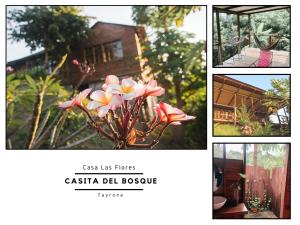 een collage van foto's van een huis en bloemen bij La Casita del Bosque in Santa Marta