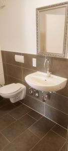 W łazience znajduje się umywalka, toaleta i lustro. w obiekcie Othman Appartements Alte Schmiede 22 w Hanowerze