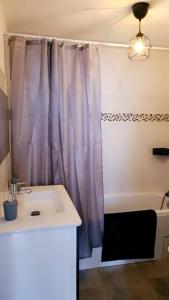 uma casa de banho com um lavatório e uma cortina de chuveiro em Le Cosy de L'Horme à 30 min de Lyon parking privé em LʼHorme