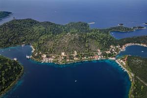 an aerial view of a small island in the water at Villa Iva Lastovo in Ubli