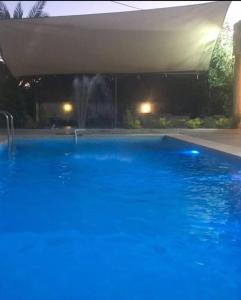 a large blue swimming pool in a yard at night at Cozy Farm in Amman