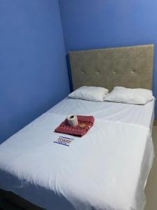 Fotografie z fotogalerie ubytování LATORRE HOSTAL v destinaci Jaén