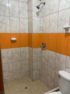 a bathroom with a shower and a toilet at LATORRE HOSTAL in Jaén