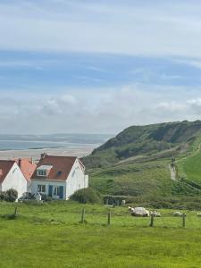 una casa en una colina verde con ovejas en un campo en Maison de pêcheur vue mer exceptionnelle, en Audinghen