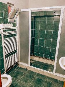 y baño con ducha, aseo y lavamanos. en Vila Ivan, en Berovo