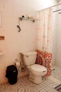 La salle de bains est pourvue de toilettes et d'un rideau de douche. dans l'établissement Sensity Home Recámara amplia y muy céntrica, à Tehuacán