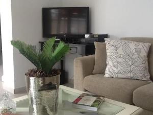 a living room with a couch and a potted plant at Perchel Sport in Las Palmas de Gran Canaria