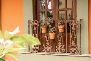 Fotografie z fotogalerie ubytování Hotel CasaMia v destinaci Dolores Hidalgo