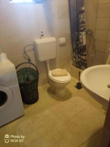 La salle de bains est pourvue de toilettes et d'un lavabo. dans l'établissement Apartments with a parking space Lovinac, Velebit - 21748, à Lovinac