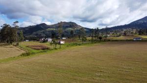 pole trawy z górą w tle w obiekcie Refugio Terra Esperanza w mieście Ibarra