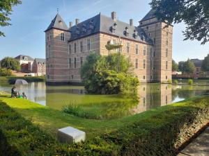 un grand château avec un étang en face dans l'établissement Cozy chalet in a nature reserve with garden, à Oud-Turnhout