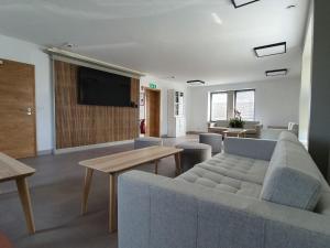 sala de estar con sofá y TV de pantalla plana en Luxury Family Holiday Home with Wellness, en Binsfeld