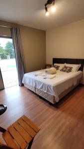 1 dormitorio con cama y ventana grande en Alloggio Peterle en Domingos Martins