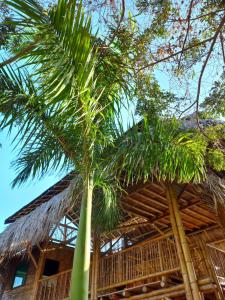 dos palmeras delante de un edificio en Casa Estuario en Buritaca